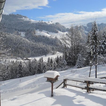 Chalet In Niederndorf Near Kufstein With Balcony Niederndorferberg 외부 사진